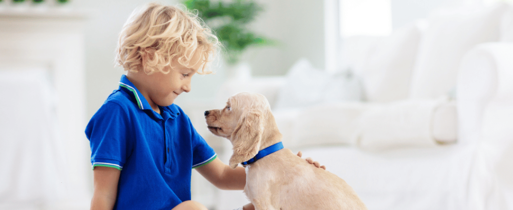 Stock photo of a kid bonding with a puppy in a living room with good indoor air quality. Stock photo from canva