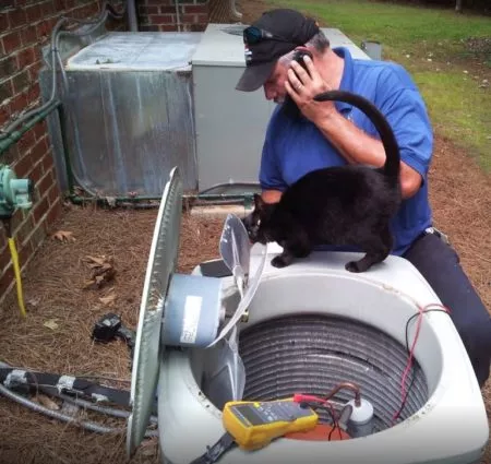 Technician repairing an HVAC unit while a black cat stands on the unit, clearly helping.