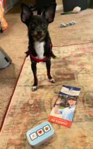 Picture of a black chihuahua next to our dog treats and an Air Experts brochure for our Pet Safety blog.